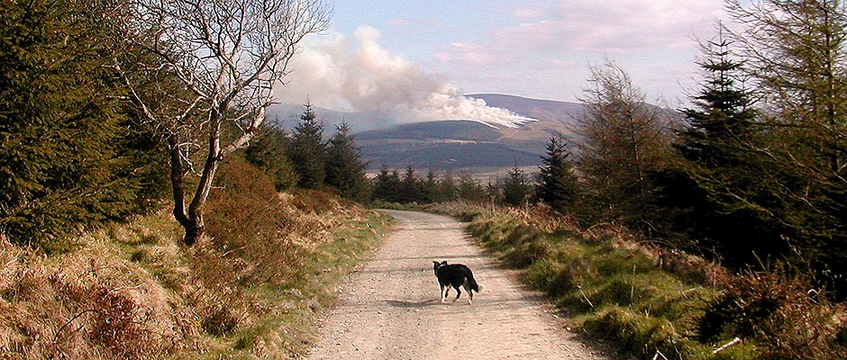 Explore the Rathcoole Countryside